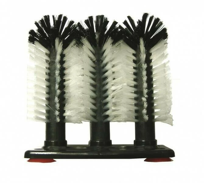 Glasborste med 3 borstar BTBL3521 by Beaumont color Svart