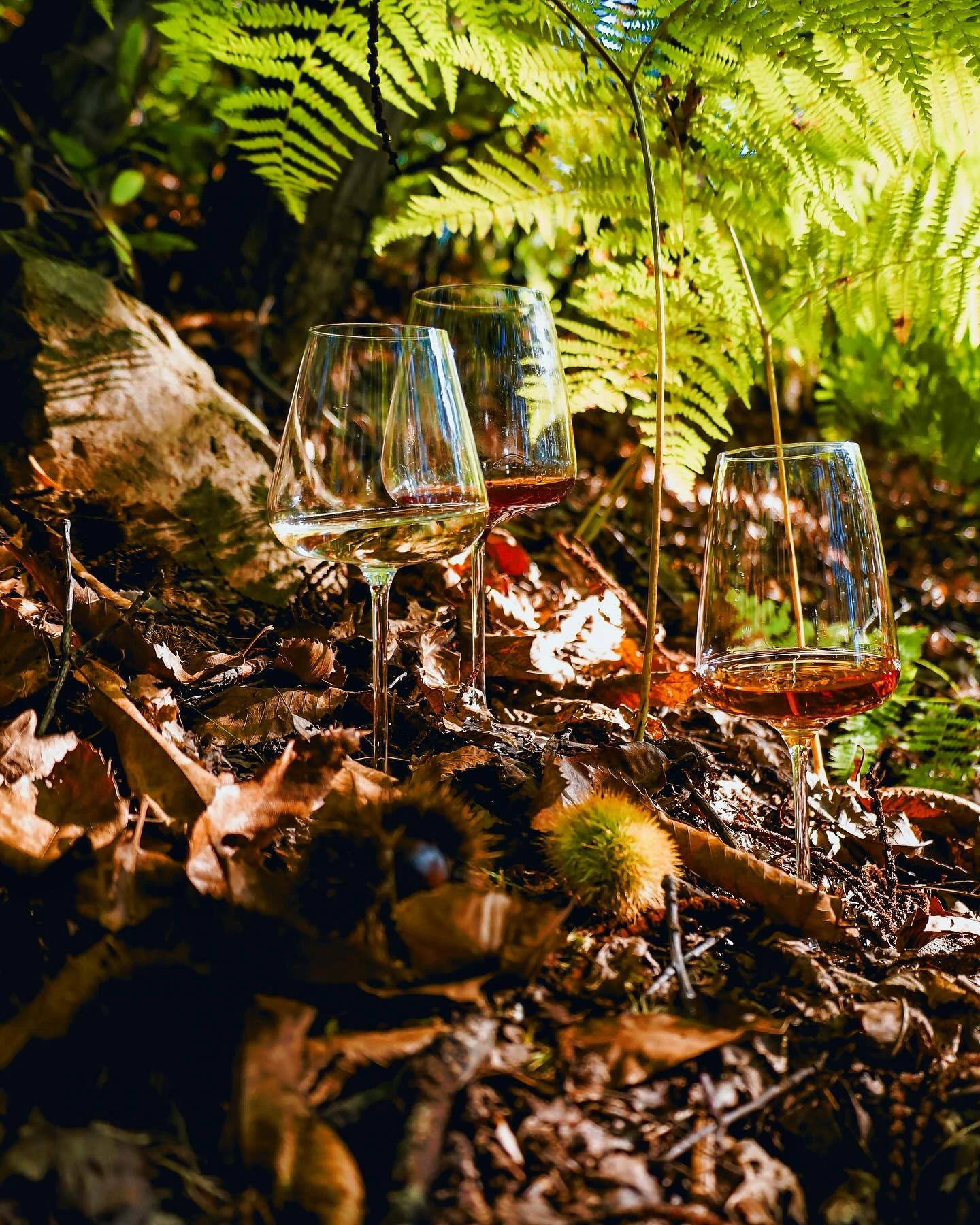 Champagneglas Etoile Sparkle 6 st 70009 by Etoile color Svart