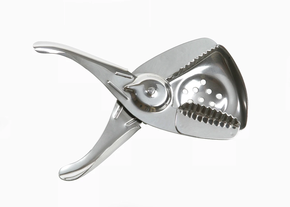 Squeezer i rostfritt stål 0281L by Fuchs Gastro color Silver
