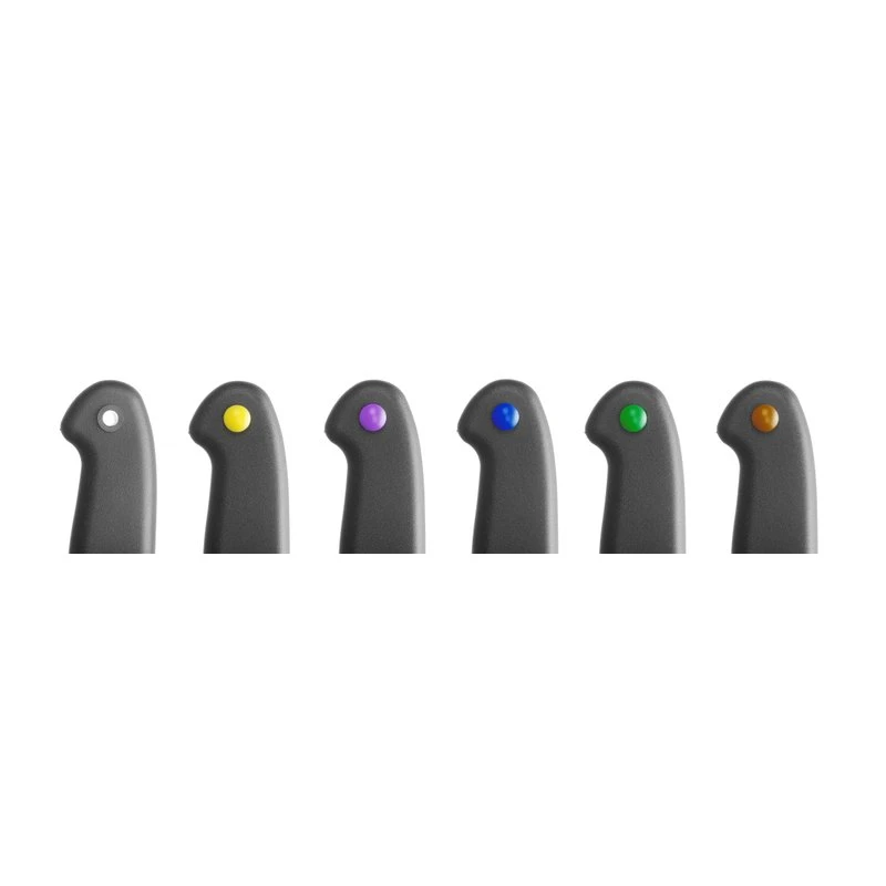 Pizzaskärare rostfritt stål, PP-handtag 100x230 mm 617014 by Hendi color Svart