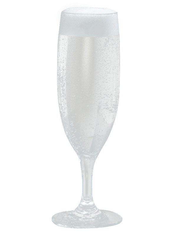 Champagneglas i polykarbonat 17 cl 300102 by GLASS4EVER color Helder