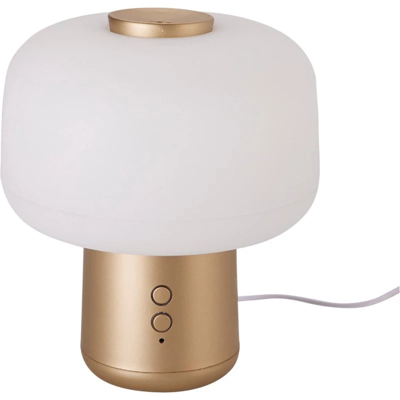 Elektrisk Doftspridare och Diffuser Lampa Set MC5801800  color Svart