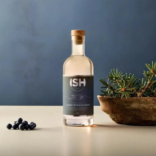 GinISH (Alkoholfri) FL 70 51488 by VILLAASCEN color Svart