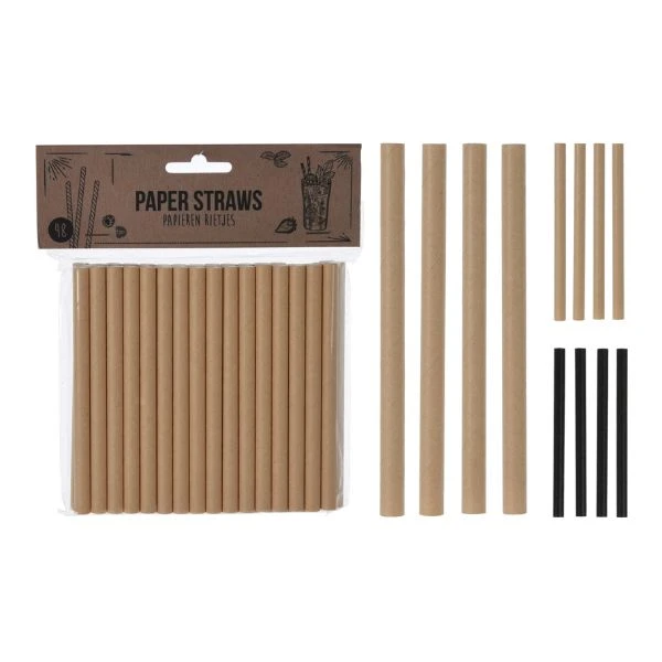 Papperssugrör 48 st assorterade RT1300080 by Koop color Svart