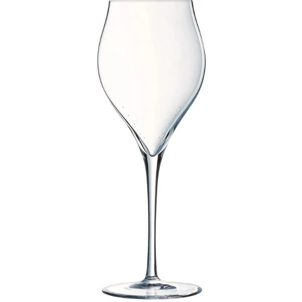 Champagneglas, 30 cl, H21,1 cm Chef&Sommelier 20162230 by Chef & Som color Helder