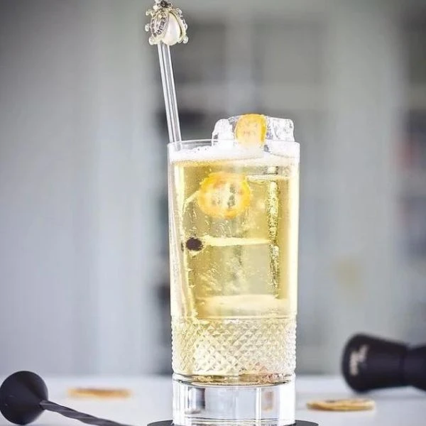Drinkrecept för Apple G&T