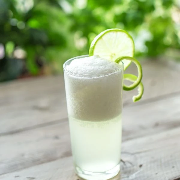 Recept på Gin Fizz-cocktail