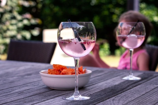 Gin för varje smak - gin till perfektion