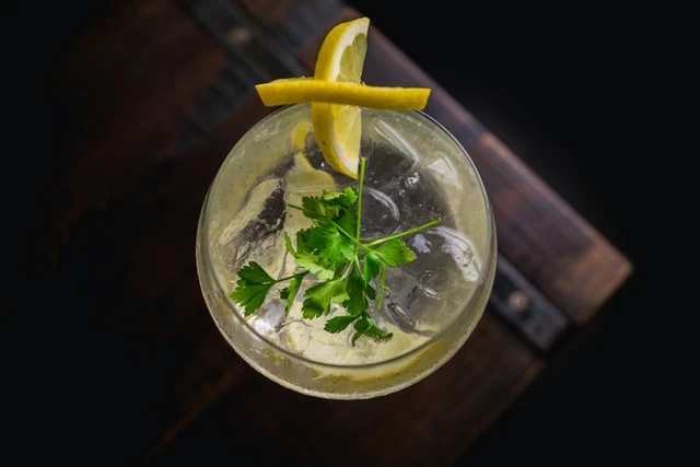 3 LÄCKRA DRINKAR MED GIN!