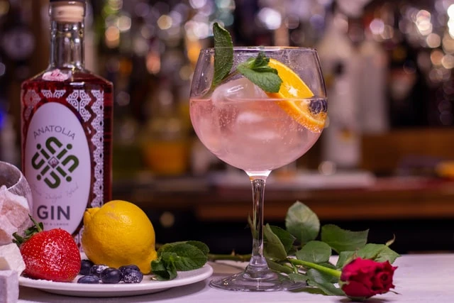 GIN MARE KOMMER ATT BLI DIN FAVORIT-GIN I SOMMAR!