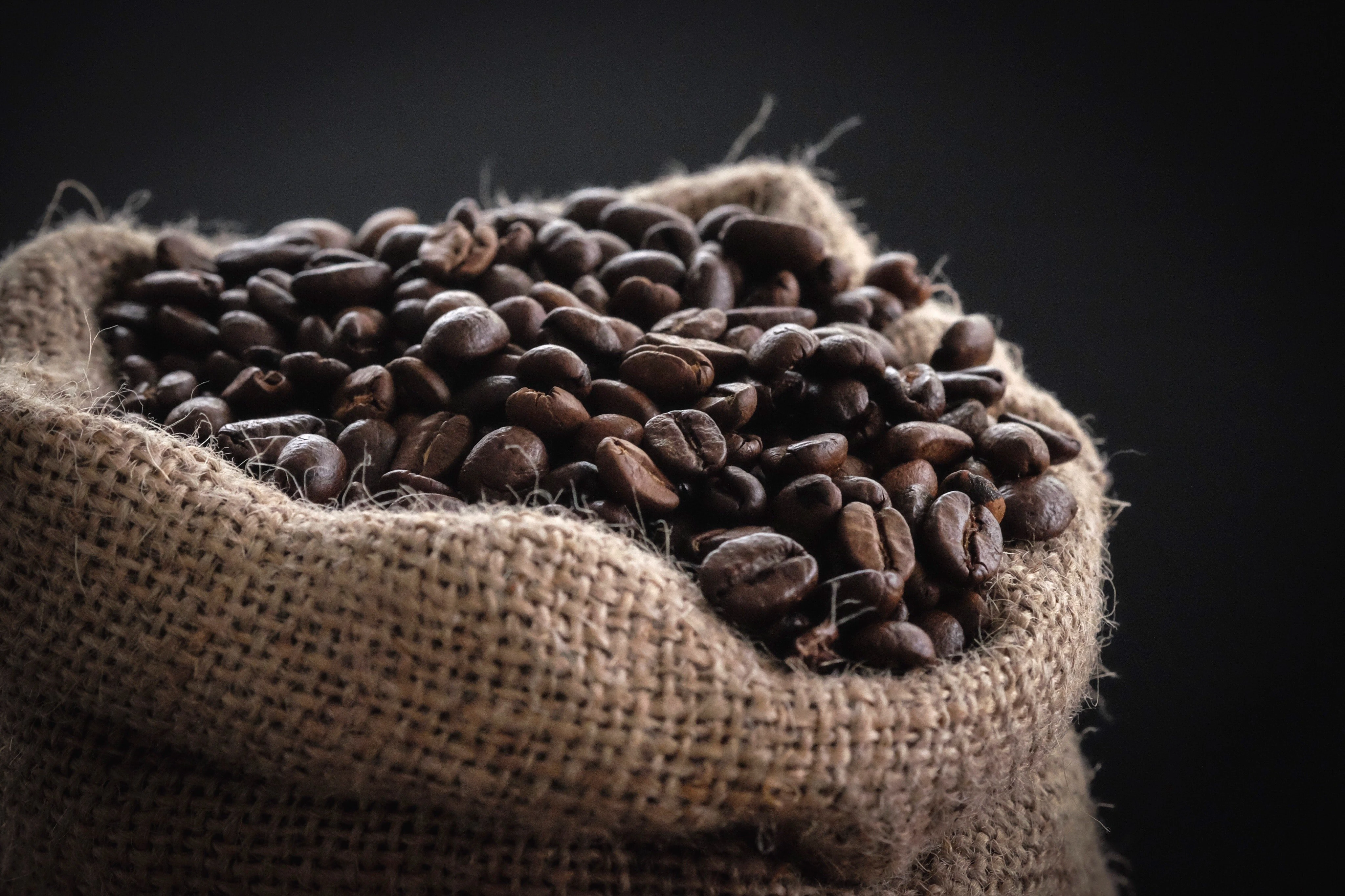 HEMLIGHETEN BAKOM EN GOD KOPP KAFFE