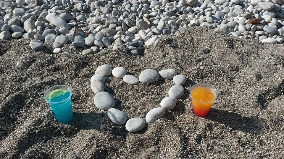 et billede af en filur og en isbjørn